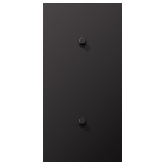 Центральная плата 2 поста вертикальная 2 тумблера типа цилиндр серия LS1912 Jung Dark