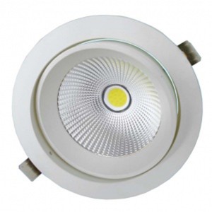 Купить Светодиодный светильник поворотный downlight FL-LED DLB 20W 4200K 1800lm D180x102mm d165mm