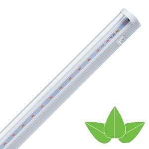 Купить Светодиодный светильник для растений NEL-FITO-8-LED IP40 (ДПО) с выключателем и шнуром
