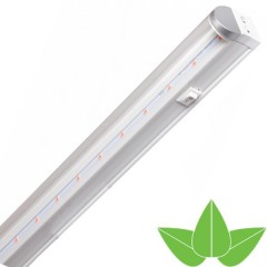 Светильник светодиодный PPG T8i- 600 Agro 8w IP20 Jazzway (для растений)