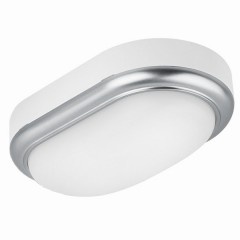 Светильник накладной LED ДПО "Антарес" 15Вт 4000К овал 221*131*68 мм мат.серебро IP54 TDM