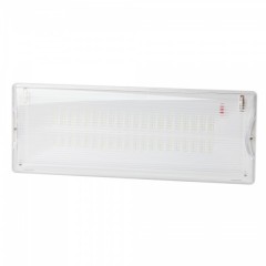 Светильник светодиодный аварийный непостоянный DPA-301-0-65 40LED 3ч IP65 5056306072857