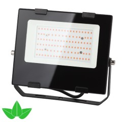 ФИТО светильник FITO-50W-RB-LED ЭРА прожектор красно-синего спектра 5056306087578